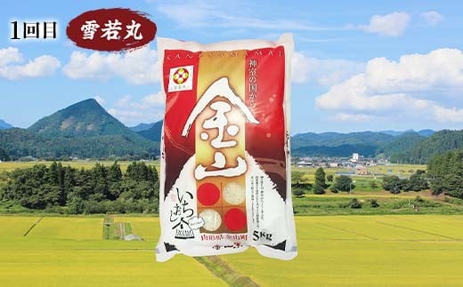 【戸沢村×金山町 共通返礼品】＜定期便＞ 厳選米 食べ比べ定期便 10kg（5kg×2回）雪若丸・はえぬき 精米  FAE-0024