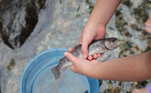 神室フィッシャーマンズロッジ 親子プラン（大人1人・子ども1人） 一日券 イベント チケット 釣り フィッシング アウトドア F4B-0599