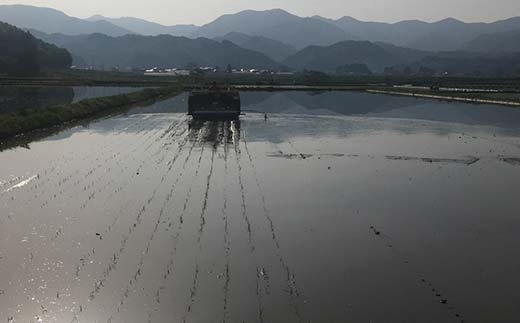 【先行予約 令和7年産】 金山町産 特別栽培米 はえぬき 玄米 5kg 米 お米 ご飯 ブランド米 F4B-0607