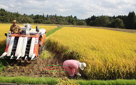 令和7年産 金山産米 つや姫  【精米】2kg 米 お米 白米 ご飯 精米 ブランド米 つや姫 送料無料 東北 山形 金山町  F4B-0704