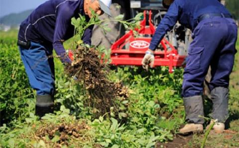 「ピーナッツペースト」2個入り＜令和5年度山形のうまいもの「ファインフードコンテスト」入賞＞ F4B-0345