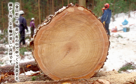 金山杉の玄関すのこ（25cm×50cm×H6cm）×2 F4B-0073