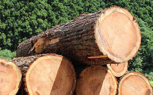 【先行予約 2023年12月発送】金山町産 乾燥楢薪 20kg【乾燥期間：半年～1年】 広葉樹 薪ストーブ キャンプ アウトドア 焚火 焚き火 暖炉 薪風呂 F4B-0295