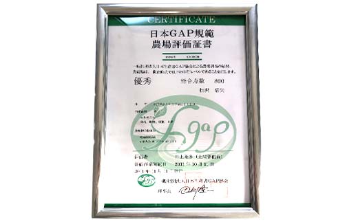 ＜先行予約＞ 令和7年産【玄米】「つや姫マイスター」が作った「はえぬき」（5kg）米 お米 白米 ご飯 ブランド米 つや姫 送料無料 東北 山形 金山町 F4B-0590