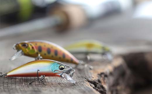 神室フィッシャーマンズロッジ 親子プラン（大人1人・子ども1人） 半日券 イベント チケット 釣り フィッシング アウトドア F4B-0600