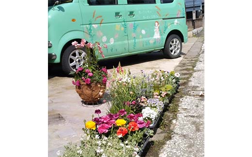 ドライフラワーのお正月しめ縄飾り【豪華版】〈2Wayタイプ〉注連縄 標縄 七五三縄 しめ飾り 注連飾り 〆縄 しめなわ 正月飾り F4B-0727