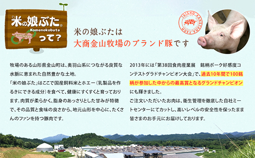 【定期便】米の娘ぶた＆山形牛A5ランク「焼肉セット」×10ヶ月 F4B-0154