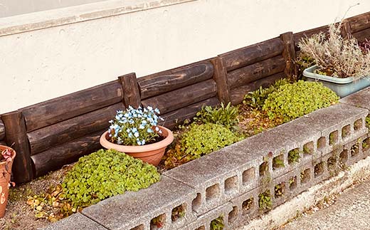 金山杉 フリーパネル ミニ 木製 ラティス ガーデニング 屋外 庭 ウッド  F4B-0578