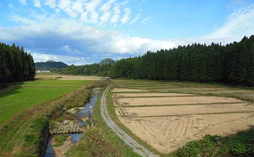 ＜先行予約＞ 令和7年産【玄米】「つや姫マイスター」が作った「はえぬき」（10kg）米 お米 白米 ご飯 ブランド米 つや姫 送料無料 東北 山形 金山町 F4B-0592