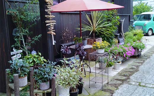 ドライフラワーのお正月しめ縄飾り【豪華版】〈2Wayタイプ〉注連縄 標縄 七五三縄 しめ飾り 注連飾り 〆縄 しめなわ 正月飾り F4B-0727