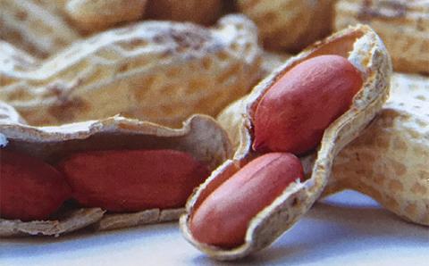 「ピーナッツペースト」2個入り＜令和5年度山形のうまいもの「ファインフードコンテスト」入賞＞ F4B-0345