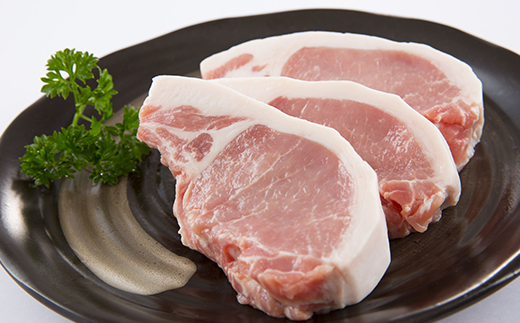 米の娘ぶたを使用した「米の娘餃子」(20g×48個) 餃子 ギョウザ 生餃子 焼き餃子 水餃子 豚肉 ブランド豚 ニラ 冷凍  金山町 F4B-0220