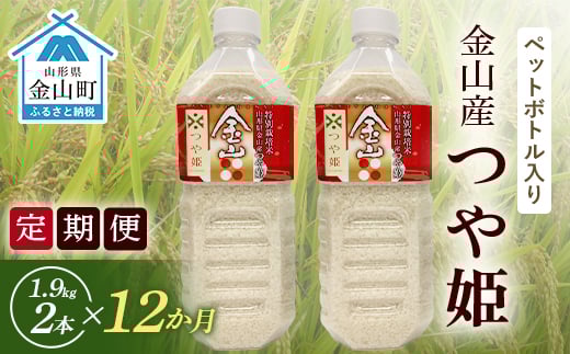 《定期便 令和7年産 先行予約》金山町産「つや姫【精米】」1.9kg(ペットボトル入り)×2本セット×12ヶ月 計45.6kg 米 お米 白米 ご飯 精米 ブランド米 つや姫 送料無料 東北 山形 金山町 F4B-0588