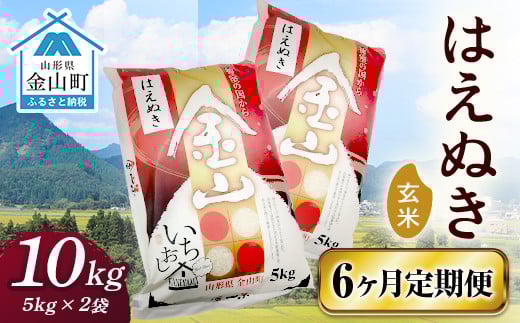 令和6年産《定期便》 金山産米 はえぬき【玄米】（5kg×2袋）×6ヶ月計60kg 定期便 6ヶ月 米 お米 ご飯 玄米 ブランド米 送料無料 東北 山形 金山町 F4B-0524