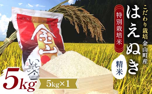 【先行予約 令和7年産】 金山町産 特別栽培米 はえぬき 精米 5kg 米 お米 ご飯 ブランド米 F4B-0604