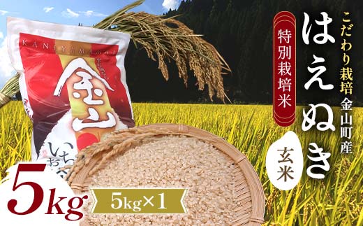 【先行予約 令和7年産】 金山町産 特別栽培米 はえぬき 玄米 5kg 米 お米 ご飯 ブランド米 F4B-0607
