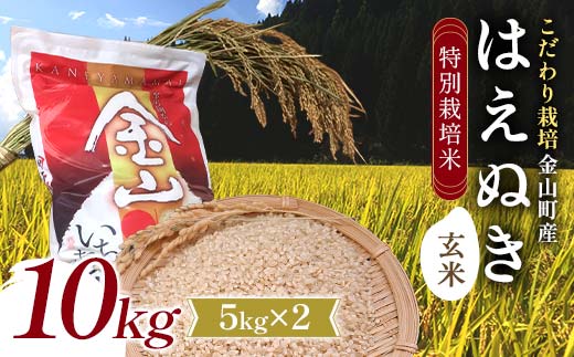 【先行予約 令和7年産】 金山町産 特別栽培米 はえぬき 玄米 5kg×2(10kg) 米 お米 ご飯 ブランド米 F4B-0608