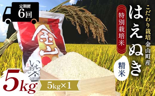 【令和7年産】定期6回 金山町産 特別栽培米 はえぬき 精米 5kg 米 お米 ご飯 ブランド米 定期便 F4B-0623