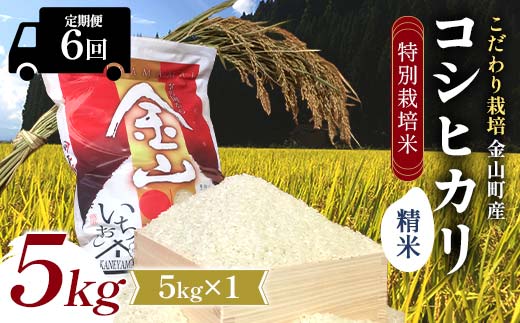 【令和7年産】定期6回 金山町産 特別栽培米 コシヒカリ 精米 5kg 米 お米 ご飯 ブランド米 定期便 F4B-0627
