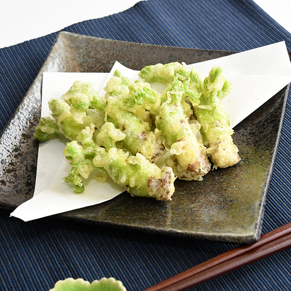 【季節商品】最上町産たらの芽