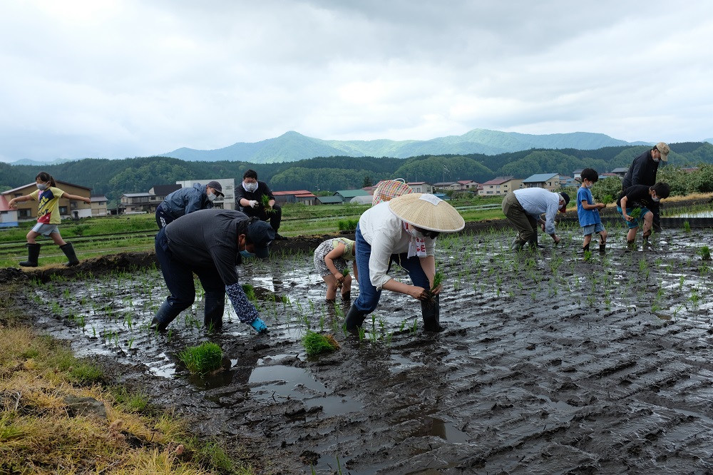 最上町の地酒　「山と水と、」火入れ2本 最上町の地酒　「山と水と、」火入れ2本