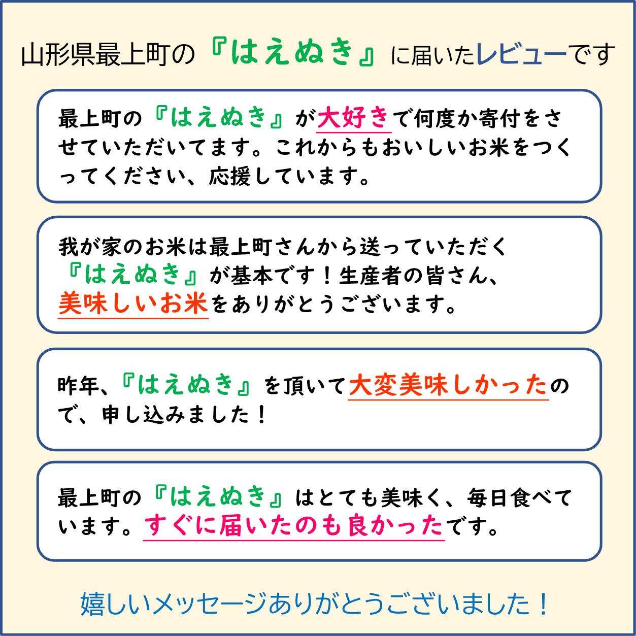 令和7年産　山形県産 はえぬき 5kg(5kg×1袋) 【令和7年産】山形県産 はえぬき　5kg (5㎏×1袋)