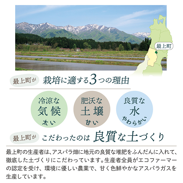【令和8年産予約】最上町特産グリーンアスパラ 2Lサイズ 1kg グリーンアスパラ2Ｌサイズ 1kg