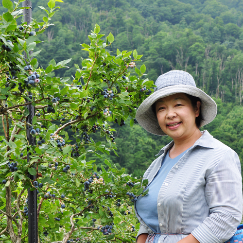 【冷凍】最上町産ブルーベリー1kg ※発送は9月～3月になります。