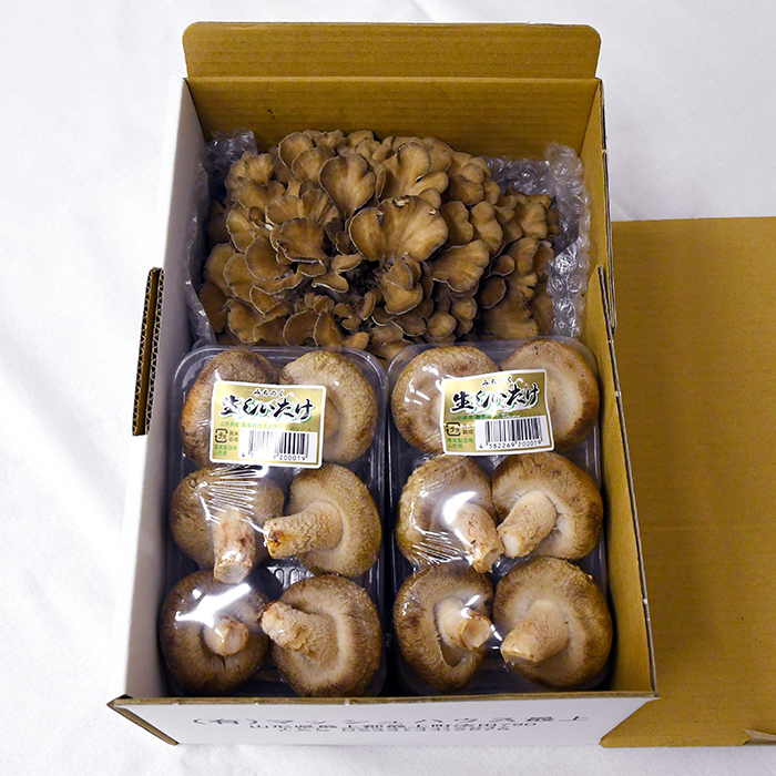 最上町産みちのくまいたけと椎茸セット 最上町産みちのくまいたけと椎茸セット