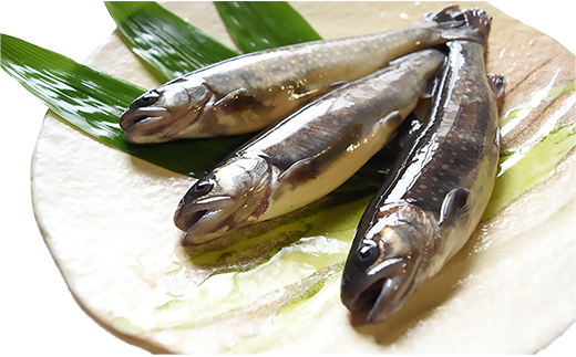 西塚農場産岩魚冷凍10尾(腹抜き) 西塚農場産岩魚冷凍10尾(腹抜き)