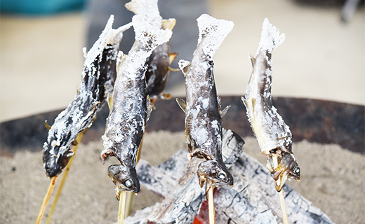 西塚農場産岩魚冷凍30尾(腹抜き) 西塚農場産岩魚冷凍30尾(腹抜き)