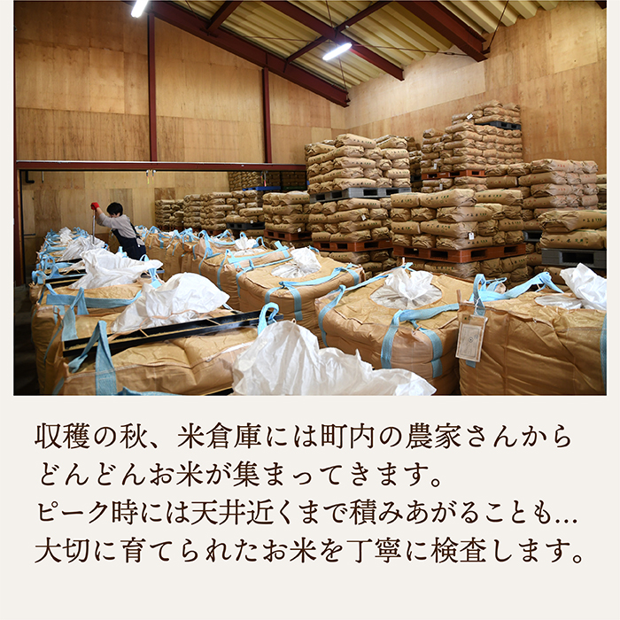 【令和7年産】山形県産　つや姫2kg・雪若丸2㎏　少量食べ比べセット