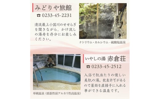 赤倉温泉利用券