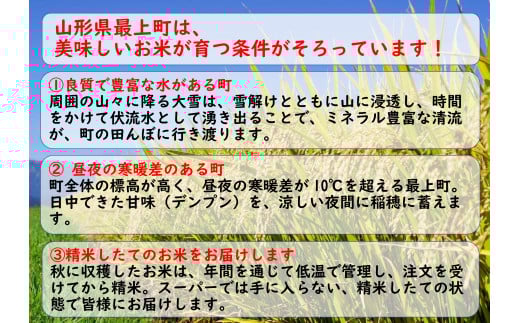 令和7年産　山形県産 はえぬき 10kg(5kg×2袋) 【令和7年産】山形県産 はえぬき 10kg(5kg×2袋)