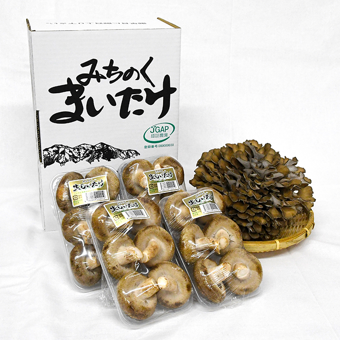 最上町産みちのくまいたけと椎茸セット 最上町産みちのくまいたけと椎茸セット