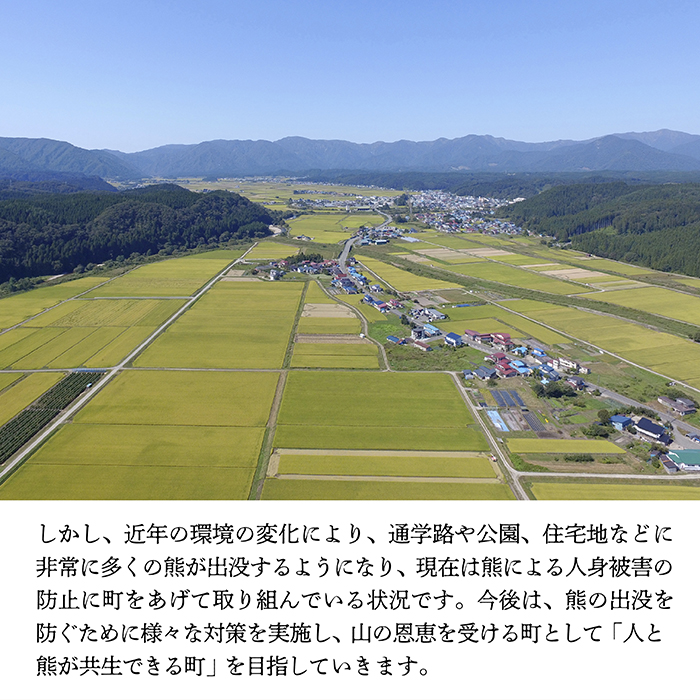 【お礼品の提供なし】熊との共生を目指して～熊による人的被害の防止対策・環境整備へのご支援を～