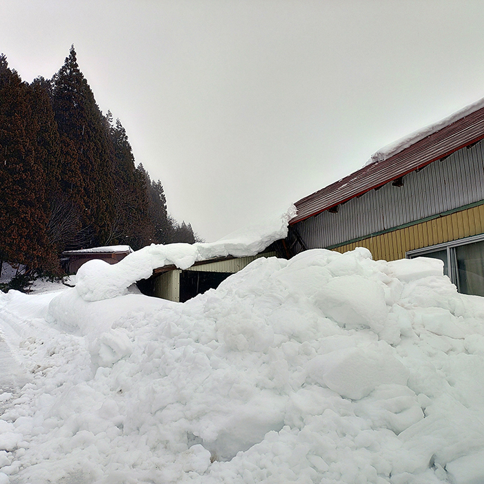 【お礼品の提供なし】令和8年最上町豪雪における災害支援寄附のお願い