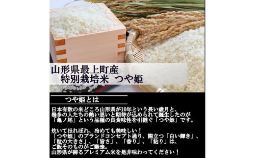 【令和6年産予約】特別栽培米　つや姫　白米　10kg(5kg×2)