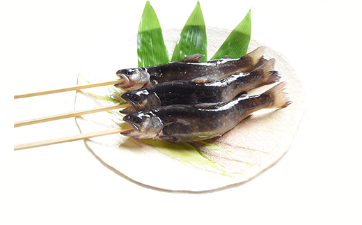 西塚農場産岩魚冷凍10尾(腹抜き) 西塚農場産岩魚冷凍10尾(腹抜き)