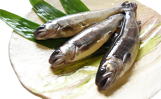 西塚農場産岩魚冷凍30尾(腹抜き) 西塚農場産岩魚冷凍30尾(腹抜き)