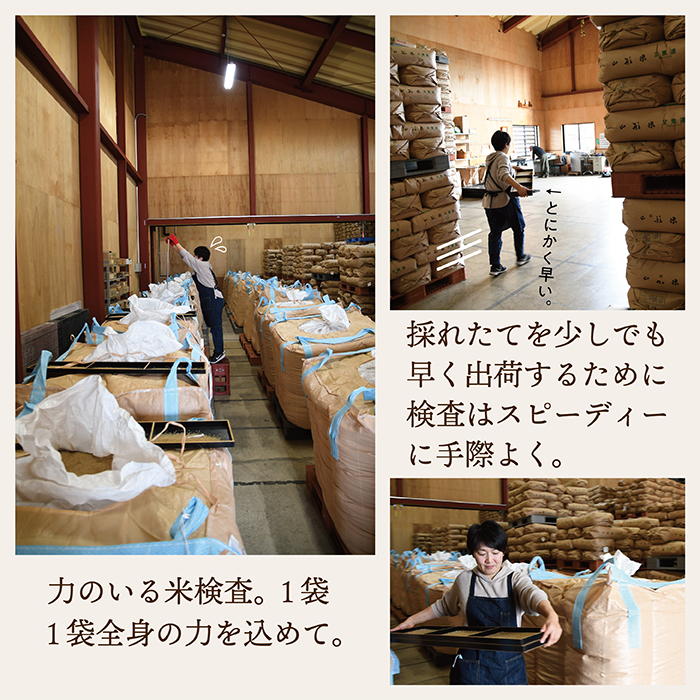 【令和7年産】無洗米　山形県産　つや姫2kg・雪若丸2㎏　少量食べ比べセット