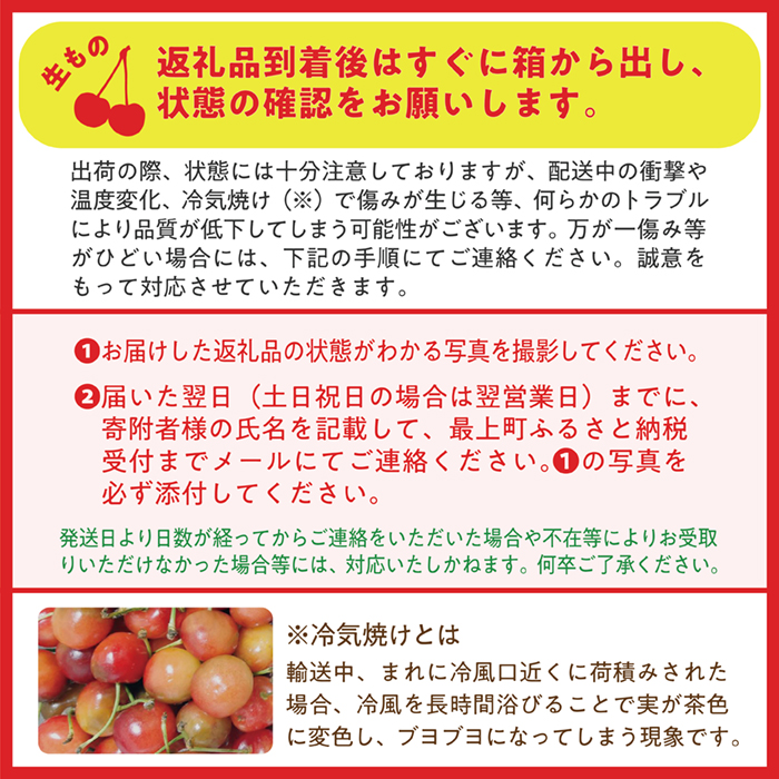 【令和7年産予約】さくらんぼ「佐藤錦」Lサイズ以上　バラ1kg