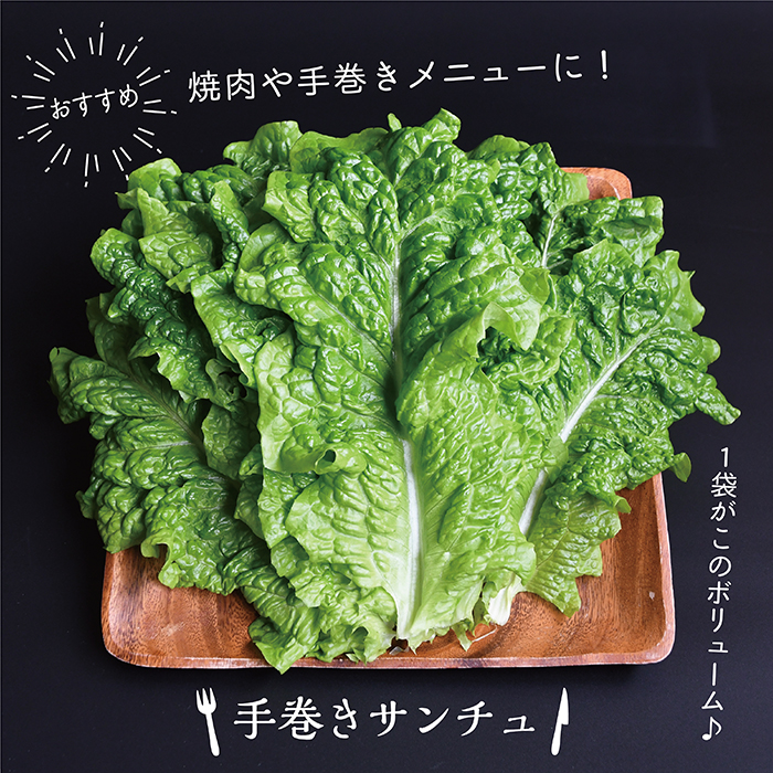 野菜ソムリエ中嶌さんのレタスセット