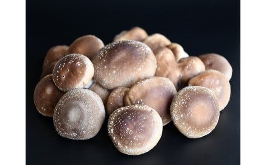 【思いやり型返礼品】最上町内の福祉施設に最上町の農産品を寄贈 最上町内の福祉施設に100,000円