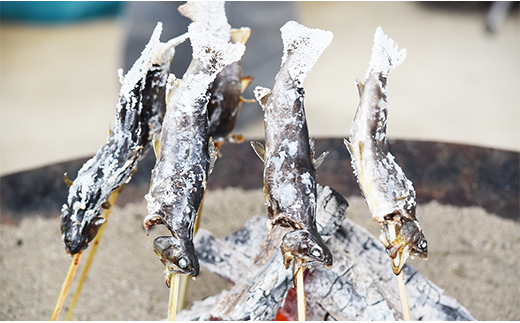 西塚農場産岩魚冷凍10尾(腹抜き) 西塚農場産岩魚冷凍10尾(腹抜き)