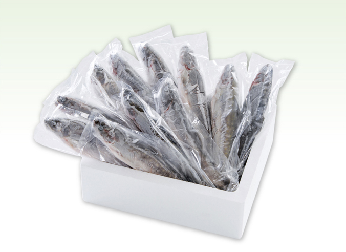 西塚農場産岩魚冷凍30尾(腹抜き) 西塚農場産岩魚冷凍30尾(腹抜き)