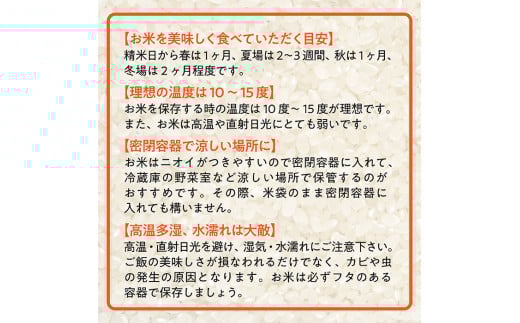 令和7年産　山形県産 雪若丸 10kg (5㎏×2袋) 令和7年産　山形県産 雪若丸 10kg (5㎏×2袋)