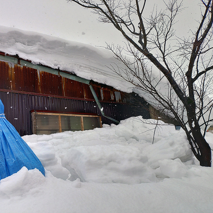 【お礼品の提供なし】令和8年最上町豪雪における災害支援寄附のお願い