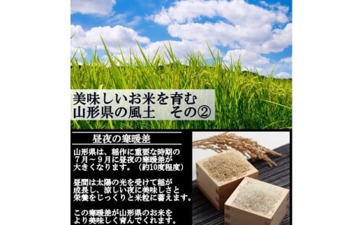 【令和6年産予約】特別栽培米　つや姫　白米　10kg(5kg×2)