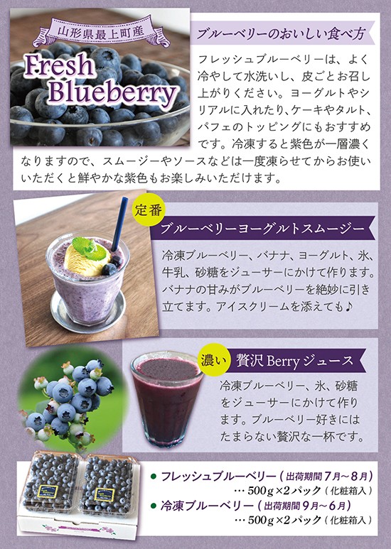 【冷凍】最上町産ブルーベリー1kg ※発送は9月～3月になります。